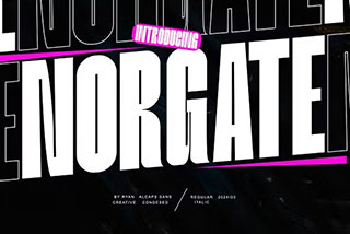 Norgate – Condesed sans type现代时尚几何风浓缩海报杂志排版无衬线英文字体