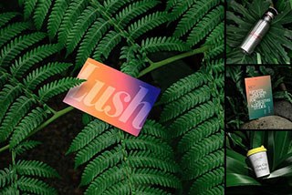 5款户外绿植场景摄影品牌VI设计名片水杯海报纸杯样机展示PSD模板 Branding Mockups / Lush Series 02